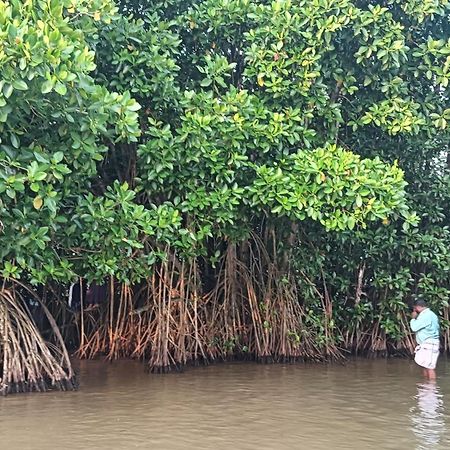Dilkush Munroe Homestay Kollam Exteriér fotografie