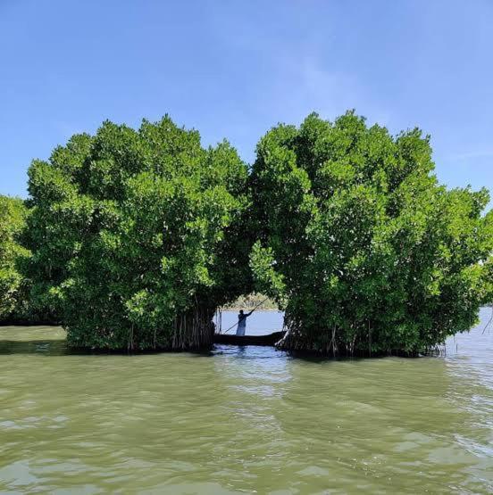 Dilkush Munroe Homestay Kollam Exteriér fotografie