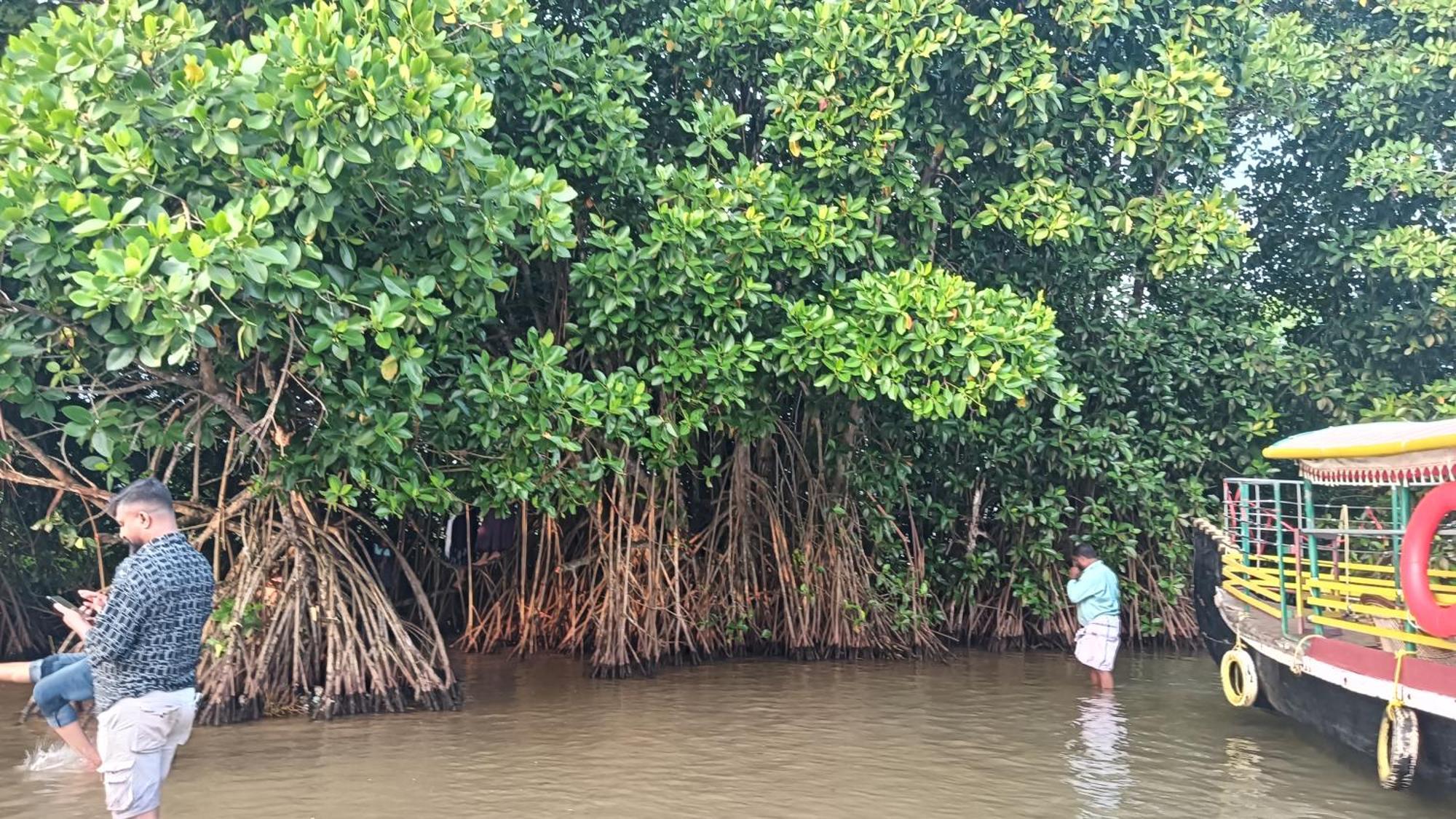 Dilkush Munroe Homestay Kollam Exteriér fotografie